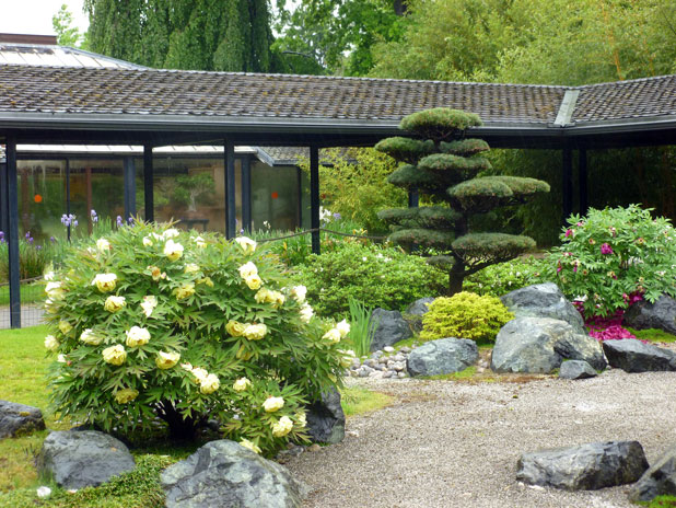 Visite guidée du parc floral - Balades aux jardins
